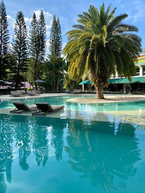 Day, Pool view, Swimming pool