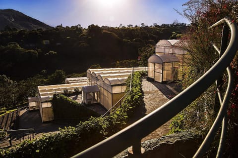 Day, Natural landscape, Garden view, Mountain view