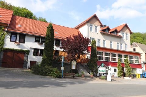 Hotel Weißes Roß Hôtel in Thale