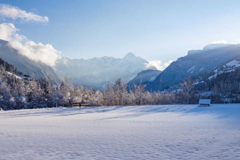 Natural landscape, Winter, Mountain view