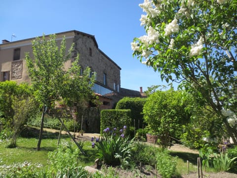 Property building, Day, Garden