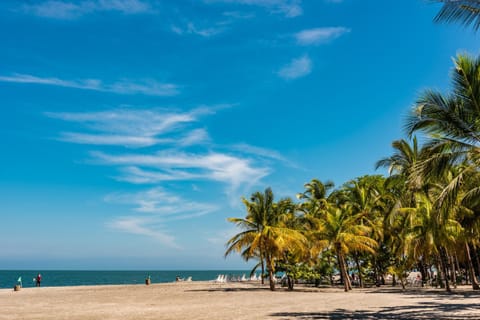 Nearby landmark, Natural landscape, Beach, Sea view