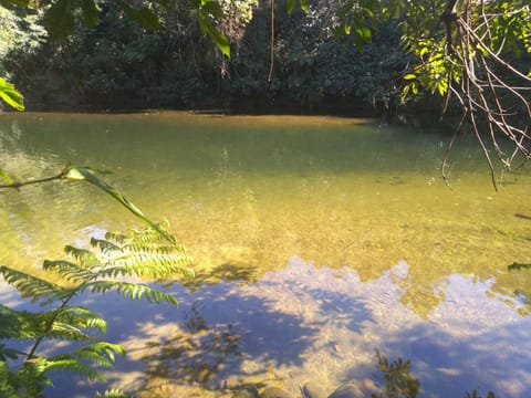 Rios Cristalinos em Guapiaçu House in Cachoeiras de Macacu