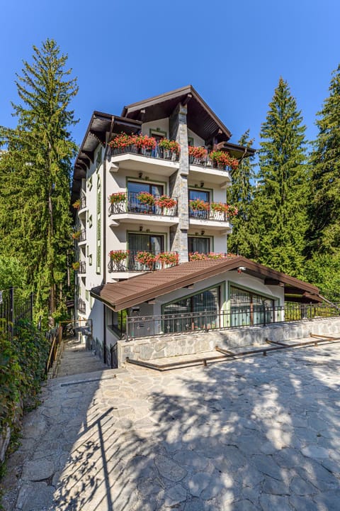 Pensiunea Hilltop Chambre d’hôte in Brașov County