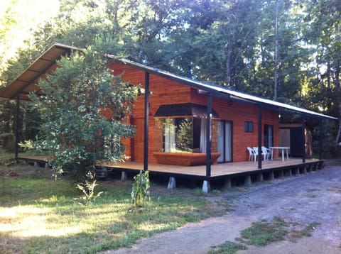 Cabañas Trancura Lodge nature in Pucon