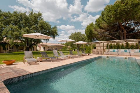 Spring, Day, Garden, Garden view, Pool view, Swimming pool, sunbed