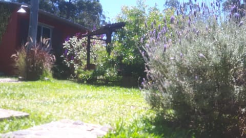 Complejo Los Girasoles Apartment in Rocha Department, Uruguay