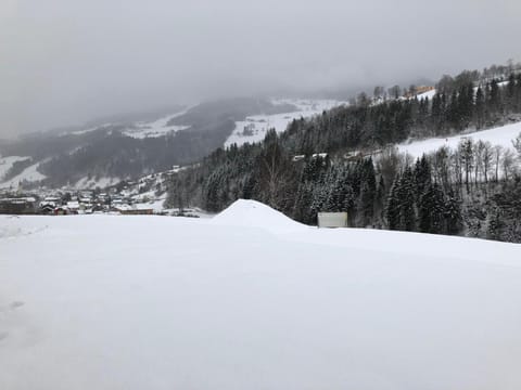 Garden, Garden view, Mountain view