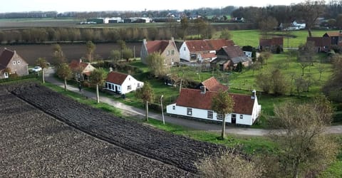 Bird's eye view, On site