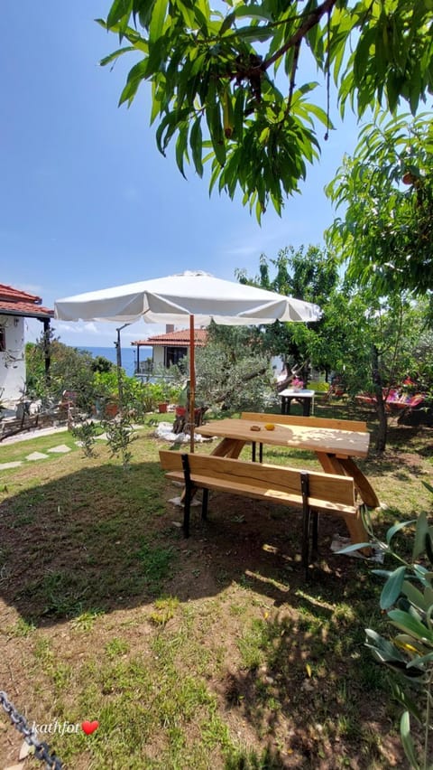 Day, Natural landscape, Garden, Dining area, Garden view