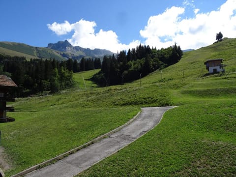 2 Pièces, Balcon Sud-Est, Face ESF, Ménage Inclus - FR-1-291-822 Apartment in Les Avanchers-Valmorel