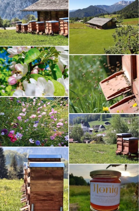 Antenbichllehen Ferienwohnungen Apartment in Berchtesgaden