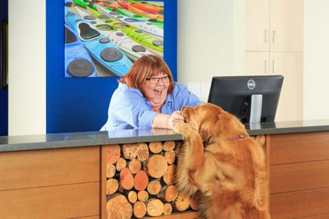 Lobby or reception, Pets