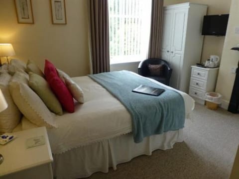Bryn Derwen Guest House Bed and Breakfast in Wales