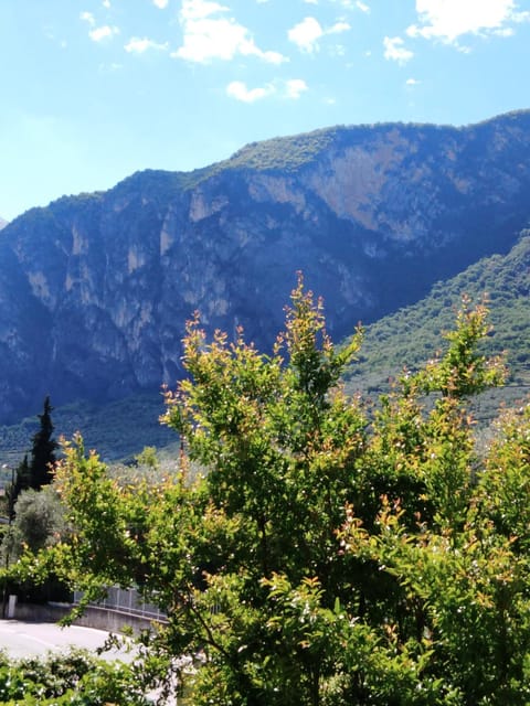 Casa Akira Apartment in Riva del Garda