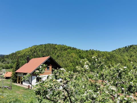 Property building, Spring, Natural landscape, Mountain view