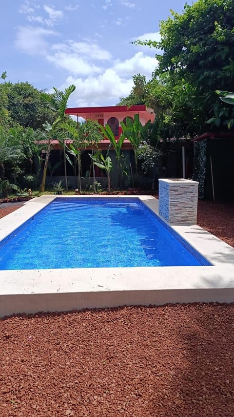 Garden, Garden view, Pool view, Swimming pool