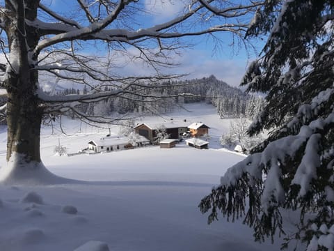 Property building, Natural landscape, Winter, Mountain view