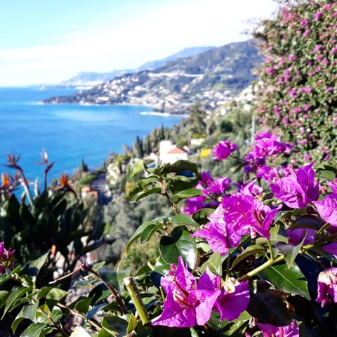 Alloggio Serenella Condo in Sanremo