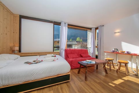 Residence de Lognan- Les Drus 12 - Happy Rentals Condo in Chamonix