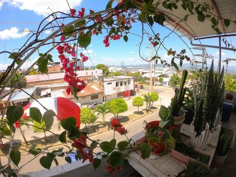 View (from property/room), Balcony/Terrace