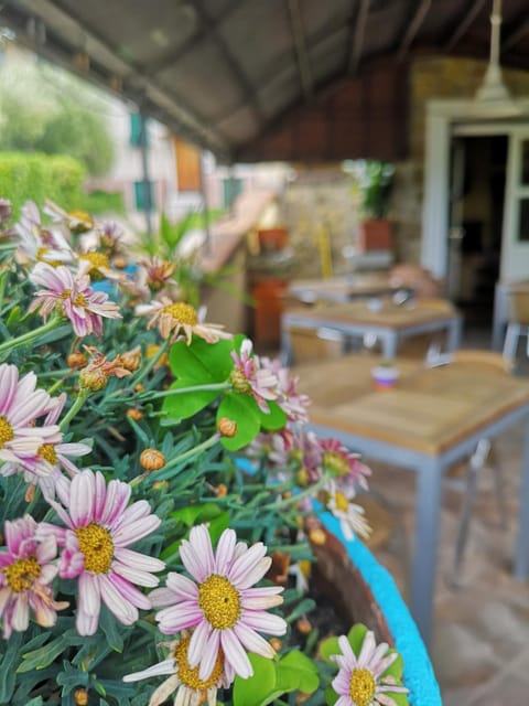 Locanda Miranda Hotel in Tellaro