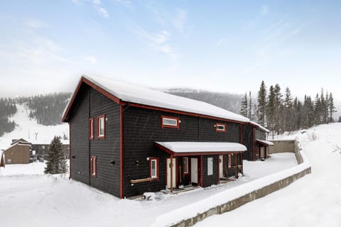 Property building, Winter, Mountain view