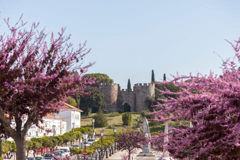 Neighbourhood, Landmark view, Location