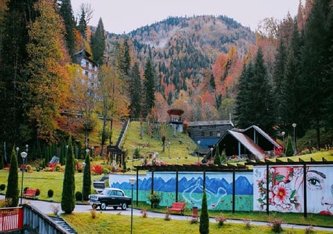 Natural landscape, Garden view, Mountain view