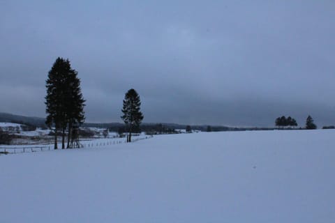 Off site, Natural landscape, Winter