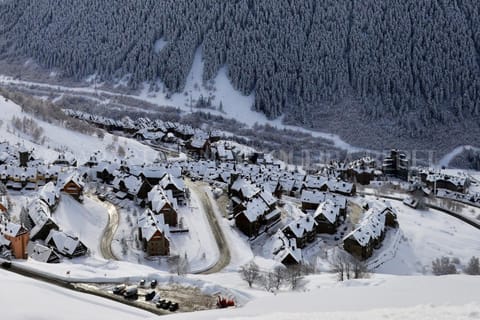 Apartarent La Pleta y Nin Cota 1700 Condo in Baqueira