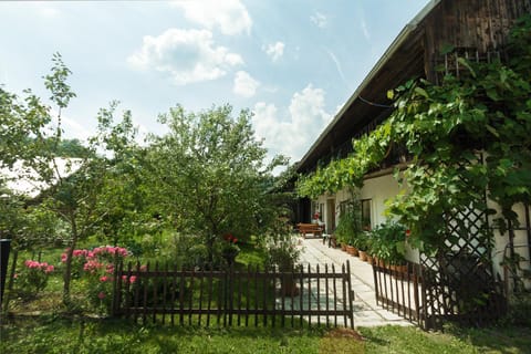 House, Garden and a Green Cat House in Bled