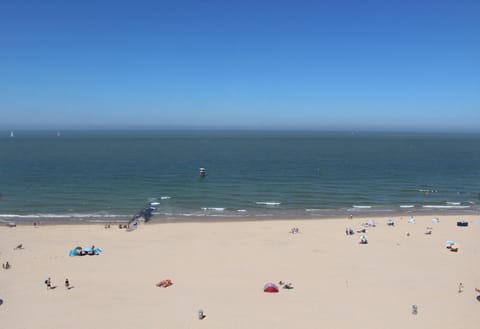 Natural landscape, Beach, Sea view