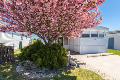 Oyster Lane Hideout House in Ocean City