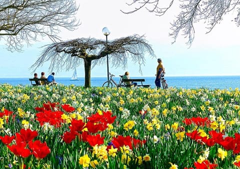 Hotel Am Rehberg garni Hôtel in Lindau