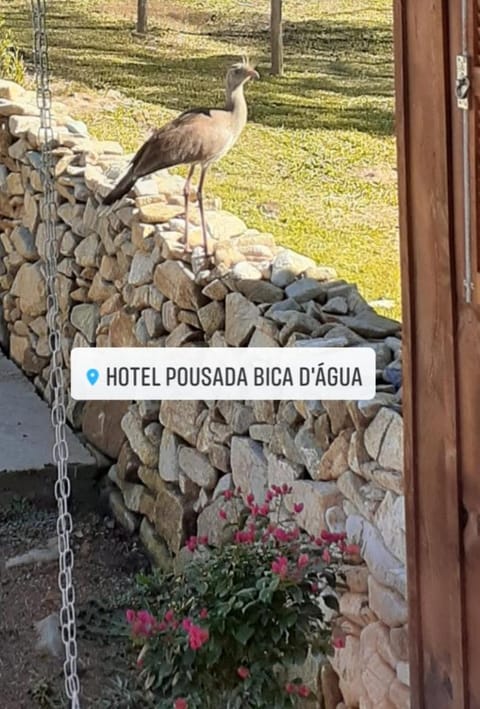 Pousada Bica D'Água Inn in State of Santa Catarina