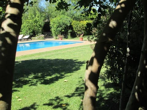 Garden, Swimming pool