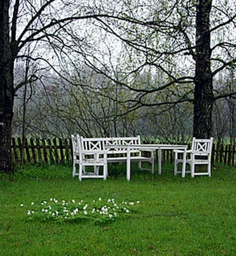 Patio, Garden