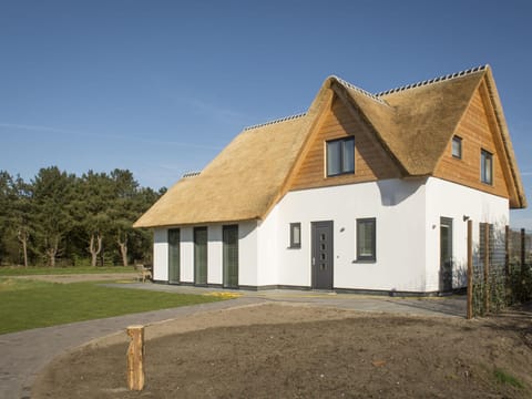 Luxurious villa for 8 people in De Cocksdorp on the beautiful Wadden island of Texel Villa in De Cocksdorp