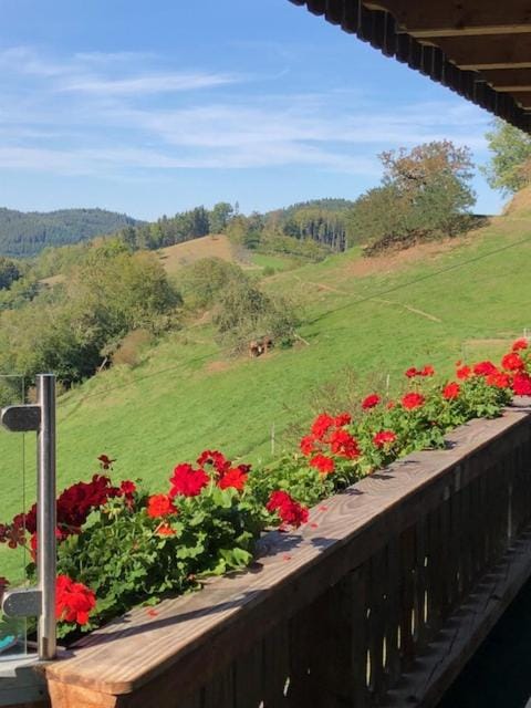 Ferienwohnung HOF Apartment in Ortenau