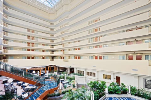 Embassy Suites by Hilton Tampa USF Near Busch Gardens Hotel in Tampa