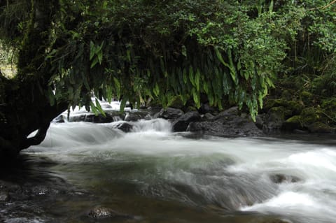 Day, Natural landscape, River view