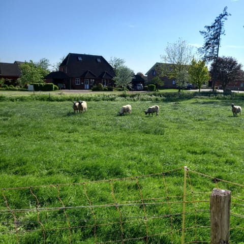 Urlaub zwischen Nord- und Ostsee Apartment in Nordfriesland