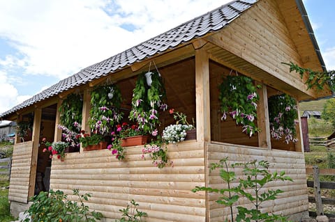 Cabana Ada 2 Bed and Breakfast in Cluj County