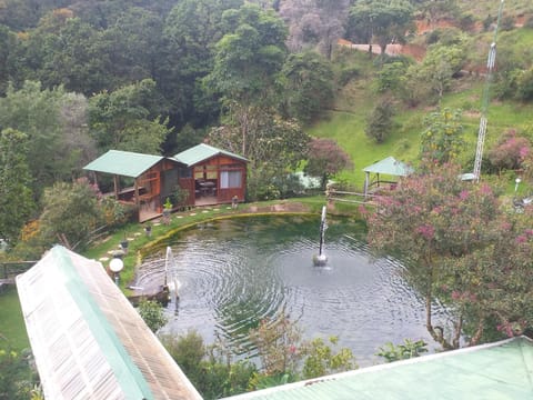 Las Cataratas Lodge Hotel in Cartago Province, Costa Rica