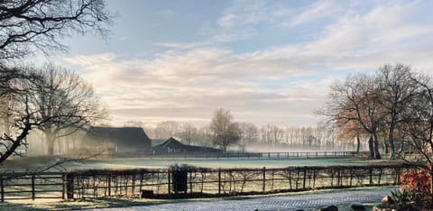 De Vijf Suites Bed and Breakfast in Drenthe (province)