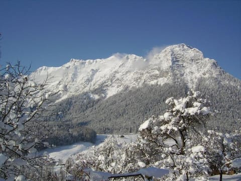 Haus Langbruck Ferienwohnungen Apartment in Berchtesgadener Land