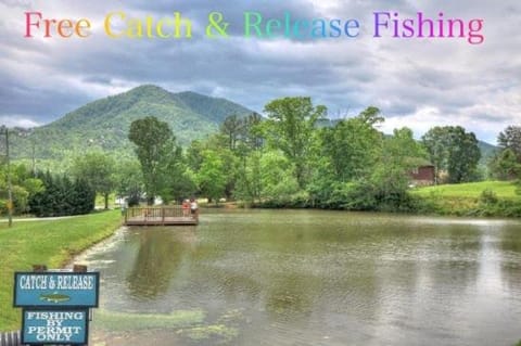 Majestic Hollow House in Sevier County