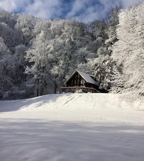 Majestic Hollow House in Sevier County