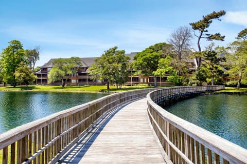 Kingston Plantation Condos Resort in South Carolina